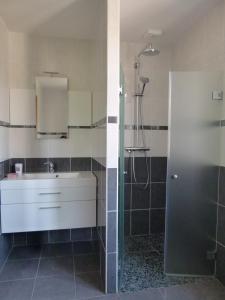 a bathroom with a sink and a shower at Gîte LAU'LIVIER- Piscine chauffée et couverte in Givarlais
