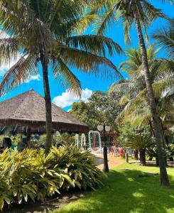 a park with palm trees and a playground at Flat Pontal do Lago equipped for 5 guests! in Caldas Novas +30 photos