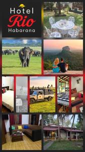 Fotografie z fotogalerie ubytování Rio Hotel Habarana v destinaci Habarana
