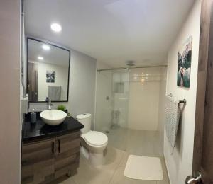 Estación El SaltoApartamento de lujo Poblado的浴室里有马桶、洗手池和淋浴。