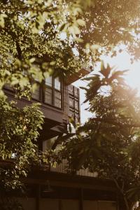 a building seen through the leaves of trees at Vessel Hostel in San Juan
