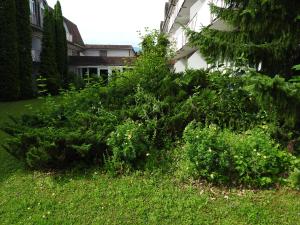 Ein Garten an der Unterkunft Exclusive Holiday Apartments
