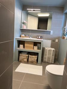 a bathroom with a sink and a toilet and a mirror at Nyoppusset studio nær Horten sentrum in Nykirke +42 photos