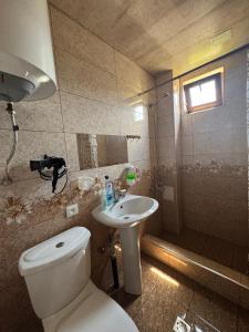 a bathroom with a toilet and a sink and a shower at Tatev& Alex BnB in Tatʼev