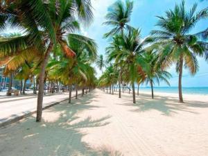 a row of palm trees on a beach at Sea View and Hill View Room for 6 Guests, Bangsaen Royal Beach by Cozy Corner in Ban Laem Thaen