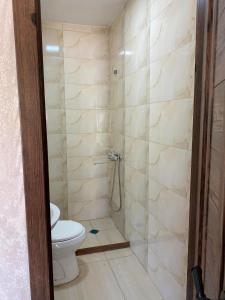 a bathroom with a toilet and a shower at khataeti street 171 in Tbilisi City