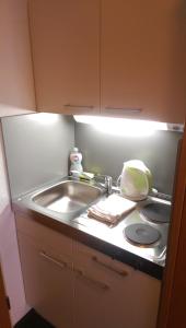 eine kleine Küche mit einer Spüle und einer Arbeitsplatte in der Unterkunft Apartmány v Bavorském lese in Mitterfirmiansreut