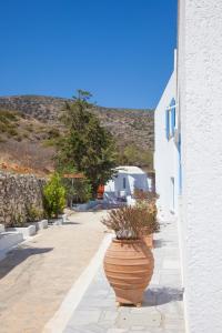 a building with a large vase with plants in it at St.George Valsamitis in Katapola