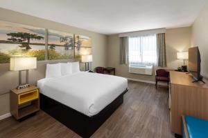 マウンテン・ホームにあるDays Inn by Wyndham Mountain Homeのベッドと机があるホテルの部屋