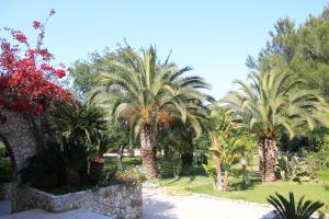 a group of palm trees in a park at La Macchia in Melendugno