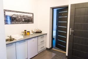 A kitchen or kitchenette at Willa pod Granią