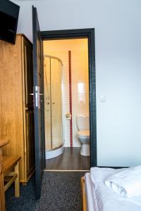 ビャウカにあるWilla pod Graniąのベッドルーム1室(シャワー、トイレ付きのバスルーム付)