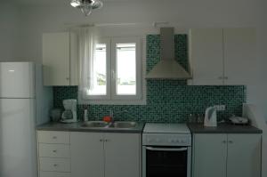 Cuina o zona de cuina de St George Antiparos Apartments and studios