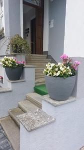 three potted plants sitting on the steps of a building at Apartmán Rainbow se zahradou, bazénem a parkováním in Karlovy Vary