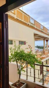 Μπαλκόνι ή βεράντα στο PHU SA HOMESTAY Hoi An