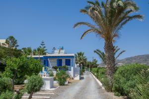 a palm tree and a house on a dirt road at Gialos Studios & Apartments in Ierapetra
