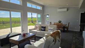 a living room with two couches and a table at The Quiet Paddock in Kairanga