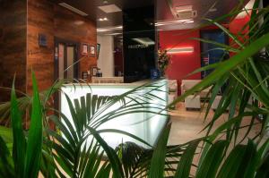 Fotografie z fotogalerie ubytování Hotel Maritimo v destinaci Makarska