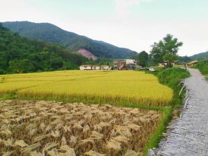 Photo de la galerie de l'établissement ลมหายใจ โฮมสเตย์ บ่อเกลือ น่าน Lomhaijai Homestay, à Ban Pha Khap