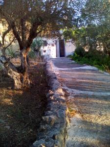 a stone path with a tree and a building at Iliana's Bungalow in Arménoi