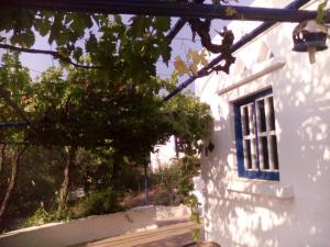 a white house with a blue window and a tree at Iliana's Bungalow in Arménoi