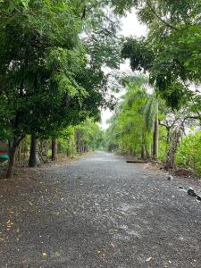 an empty road with trees on either side of it at Pruthvi Bungalow - EcoFriendlyTourism - efl in Agashi +12 photos