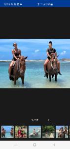 two pictures of a woman riding a horse in the water at Bayview Luxury Retreat 