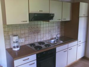 Kuchyň nebo kuchyňský kout v ubytování Appartements Zankl