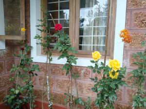 Gallery image of Casa Coorg Homestay 