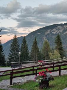 a park bench with flowers and a view of a mountain at Il Rifugio dell'Artista in Folgarida