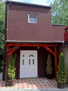 a house with a white door and two potted plants at Burence -m in Železnik