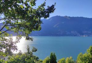 a view of a lake with a mountain in the background at Il Glicine sul Lago in Tronzano Lago Maggiore +4 photos