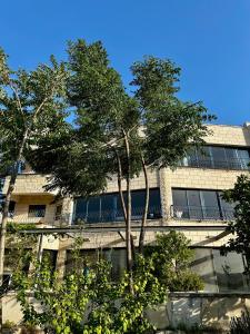 Fotografie z fotogalerie ubytování בית אום ג'מאל - משפחת דגש v destinaci ‘Eilabūn + 56 fotografií