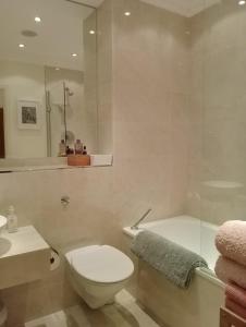 a bathroom with a toilet and a sink and a tub at Beautiful apartment in Kew, Richmond London with Free Underground Parking in London +18 photos