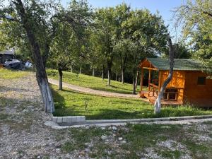 a log cabin in a field with trees at White River in Rîu Alb de Jos