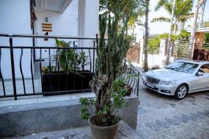 a car parked next to a fence and a palm tree at maman home apartment in Gisenyi