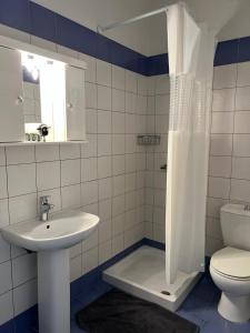 a bathroom with a sink and a toilet and a shower at Kanarinia Guesthouse in Kala Nera