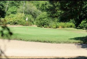 a golf green with a flag in the middle of it at Détente au golf des etoiles in Nançay