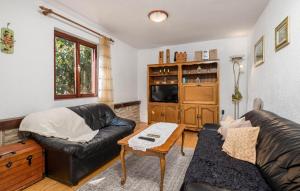 a living room with a leather couch and a table at Holiday home - Apartments Marinjo in Stinica