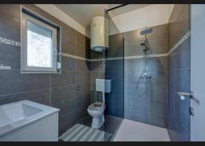 a bathroom with a shower and a toilet and a sink at Vila Didi in Fažana +9 photos