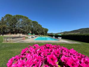 a bunch of pink flowers in front of a swimming pool at Agriturismo Sant'Angelo in Acquapendente