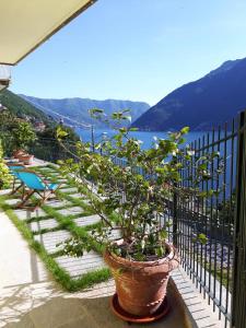 una maceta sentada en un balcón con vistas al agua en Balcone dei Limoni, en Nesso