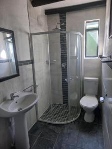 a bathroom with a shower and a toilet and a sink at Barrymicasa Self Catering in Gqeberha +9 photos