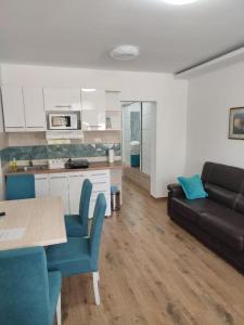 Dapur atau dapur kecil di Apartman MiCi Sunčani Breg Vrdnik