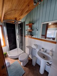 a bathroom with a shower and a toilet and a sink at Hostal Senderos del Sur in Freire