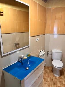 a bathroom with a blue sink and a toilet at Domus Viatoris in Sahagún +32 photos