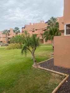 un palmier dans une cour à côté d'un bâtiment dans l'établissement Superb 2 Bed Apartment on Mar Menor Golf Resort with Free WIFI, à Los Martínez
