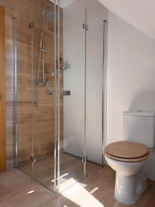 a bathroom with a toilet and a glass shower at Cosy Cottage in Vyšná Boca in Vyšná Boca