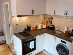 a kitchen with a sink and a washing machine at Kleines Glück Cityapartment in Würzburg