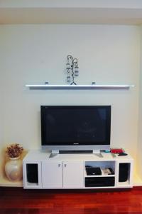 TV/Unterhaltungsangebot in der Unterkunft Apartments Domalu